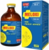 Picture of MELOXI - EXPORT NAME : AN-MELOXI 