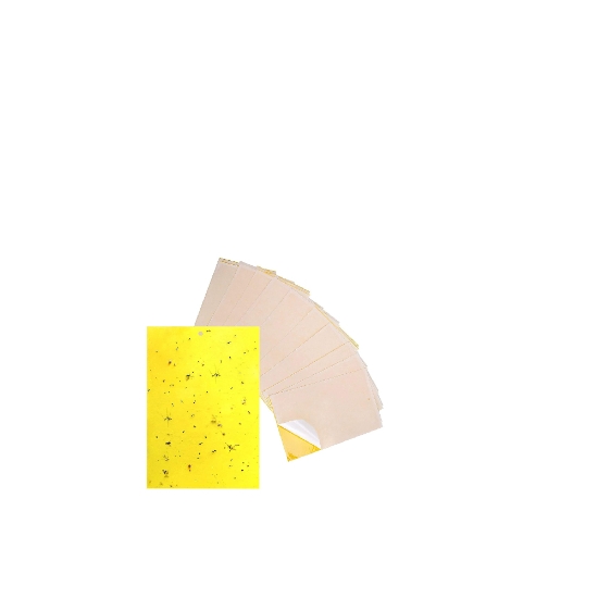 Picture of Yellow fly and mosquito sticky card (25*20 cm)