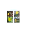 Picture of Yellow fly and mosquito sticky card (25*20 cm)