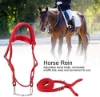 Picture of Horse halter with bridle and harness