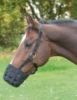 Picture of Horse muzzle S