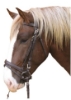 Picture of bridle carthorse black 321178