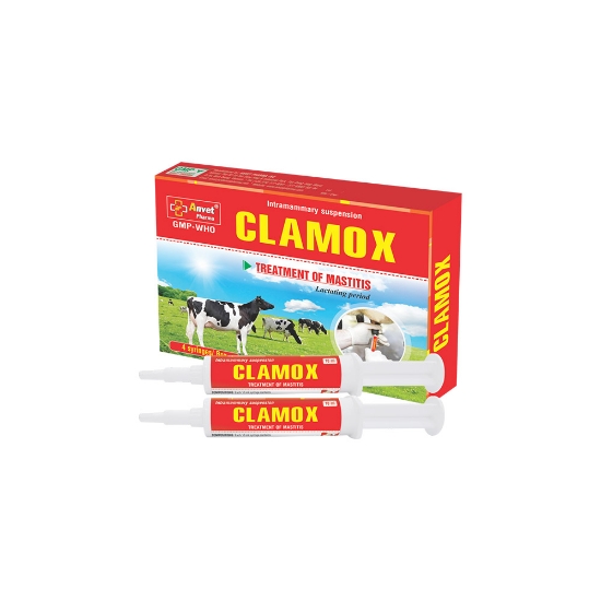 صورة AN-CLAMOX