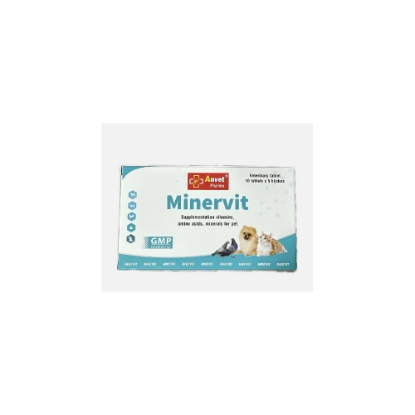 صورة Minervit ANVIT